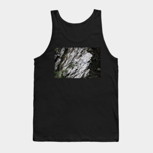 Lainbachtal - tilted rock strata (close-up) Tank Top